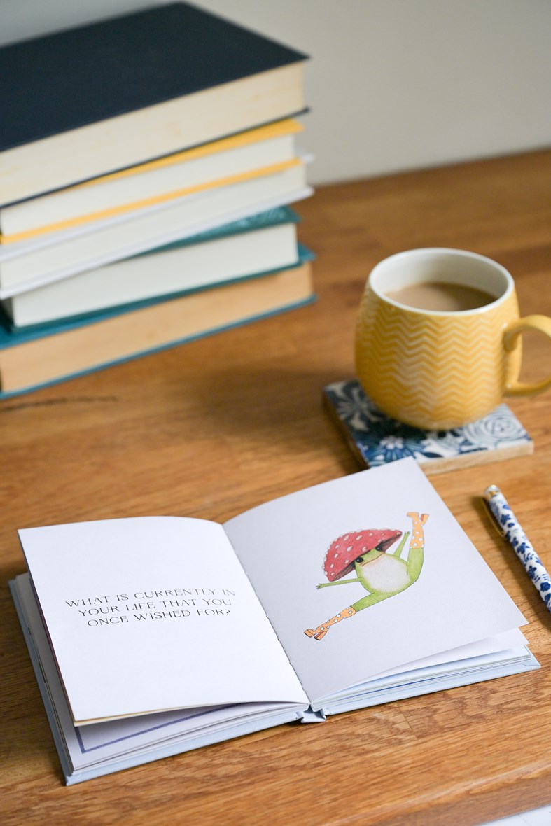 Hachette Book Group The Little Frog's Guide to Life - Love, Advice and Inspiration for Every Day from the Internet’s Beloved Mushroom Frog
