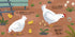 Hachette Book Group Animal Actions- Waddle Like a Duck