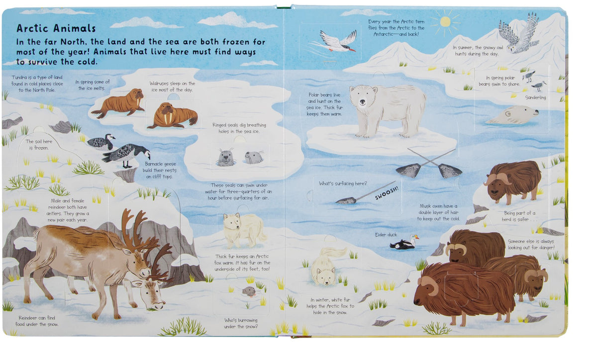Fox Chapel Publishing Lift the Flap- Discovery! Animals