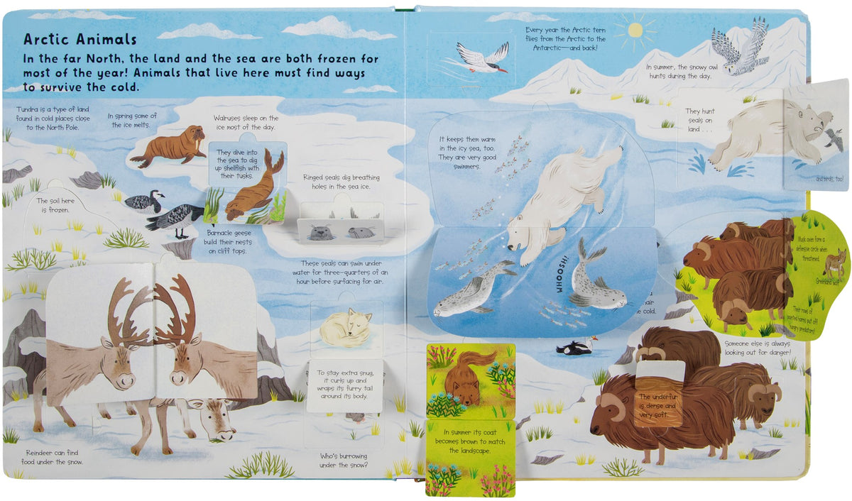 Fox Chapel Publishing Lift the Flap- Discovery! Animals