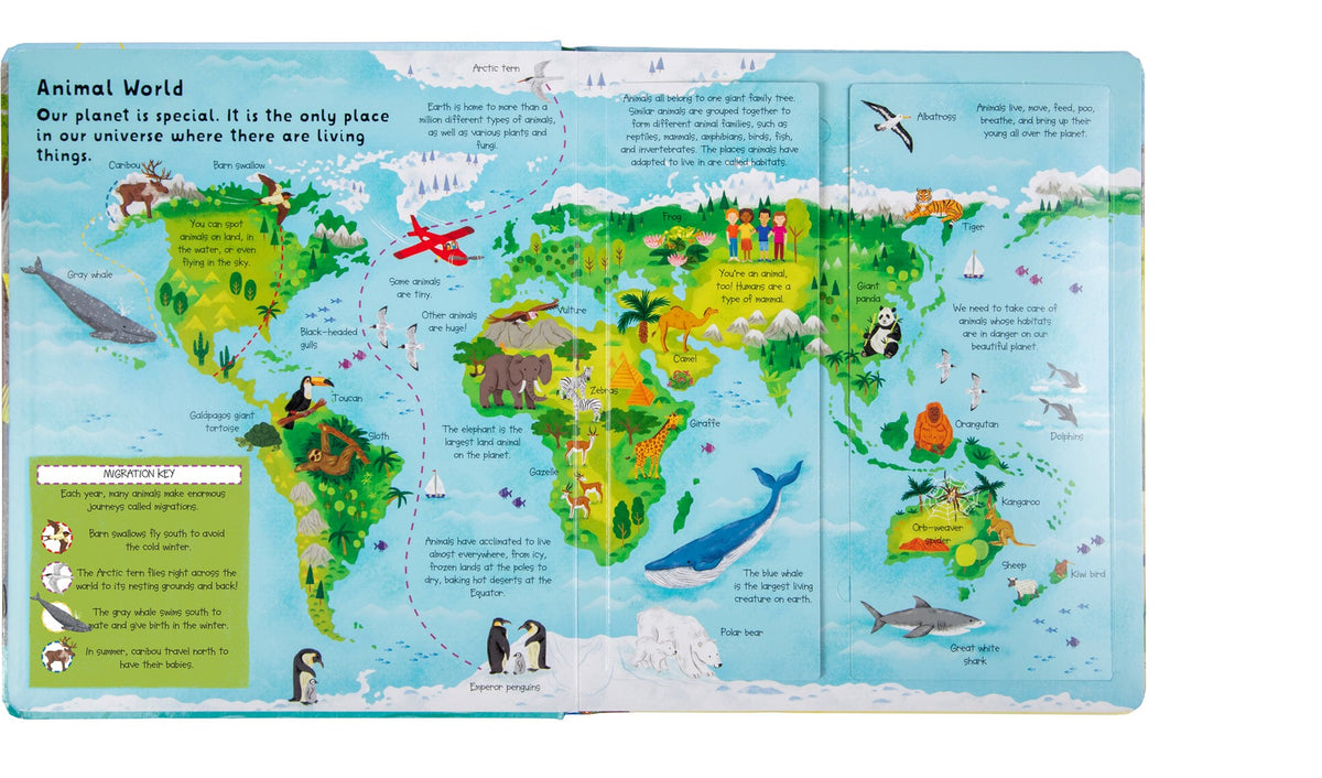 Fox Chapel Publishing Lift the Flap- Discovery! Animals