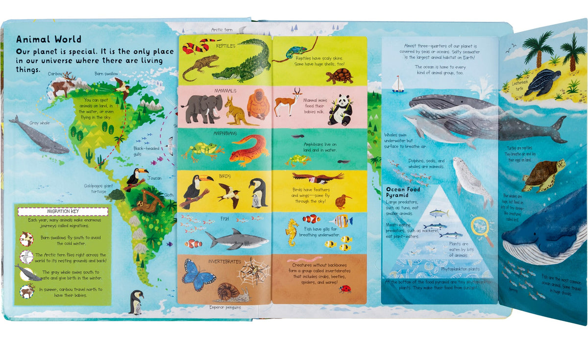 Fox Chapel Publishing Lift the Flap- Discovery! Animals