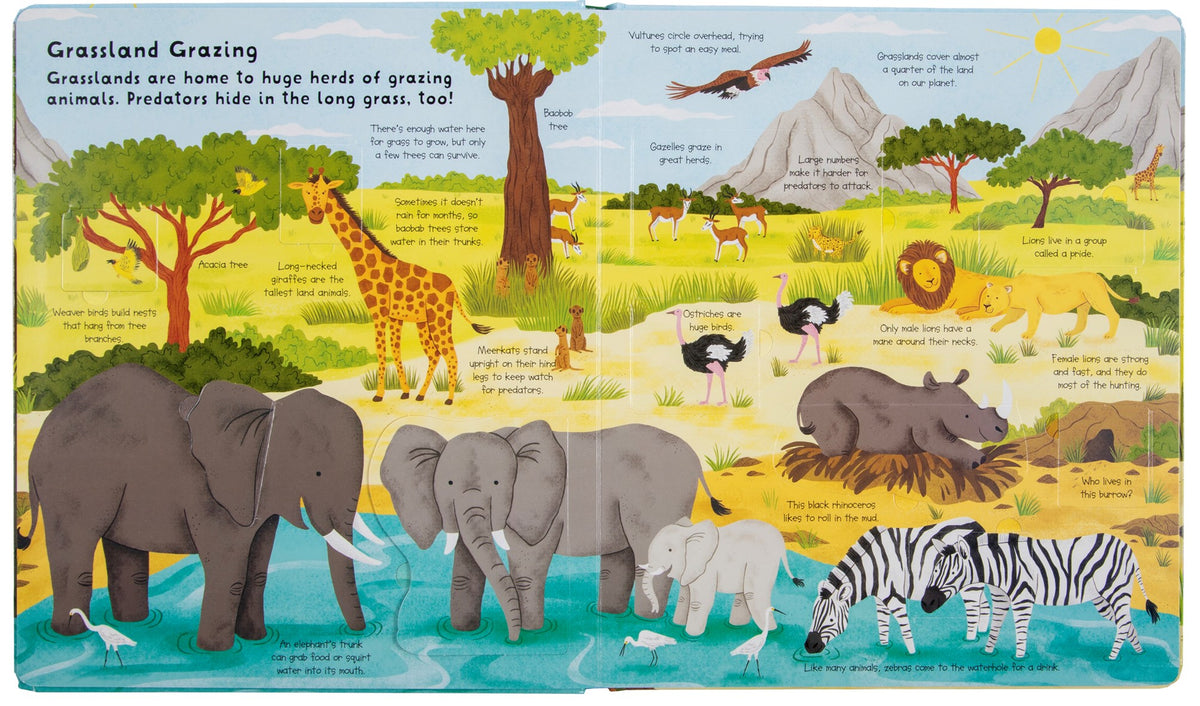 Fox Chapel Publishing Lift the Flap- Discovery! Animals
