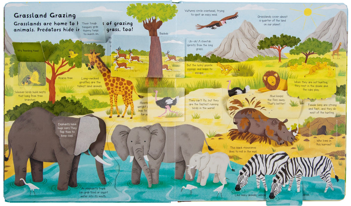 Fox Chapel Publishing Lift the Flap- Discovery! Animals