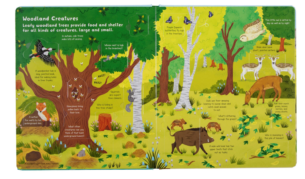 Fox Chapel Publishing Lift the Flap- Discovery! Animals