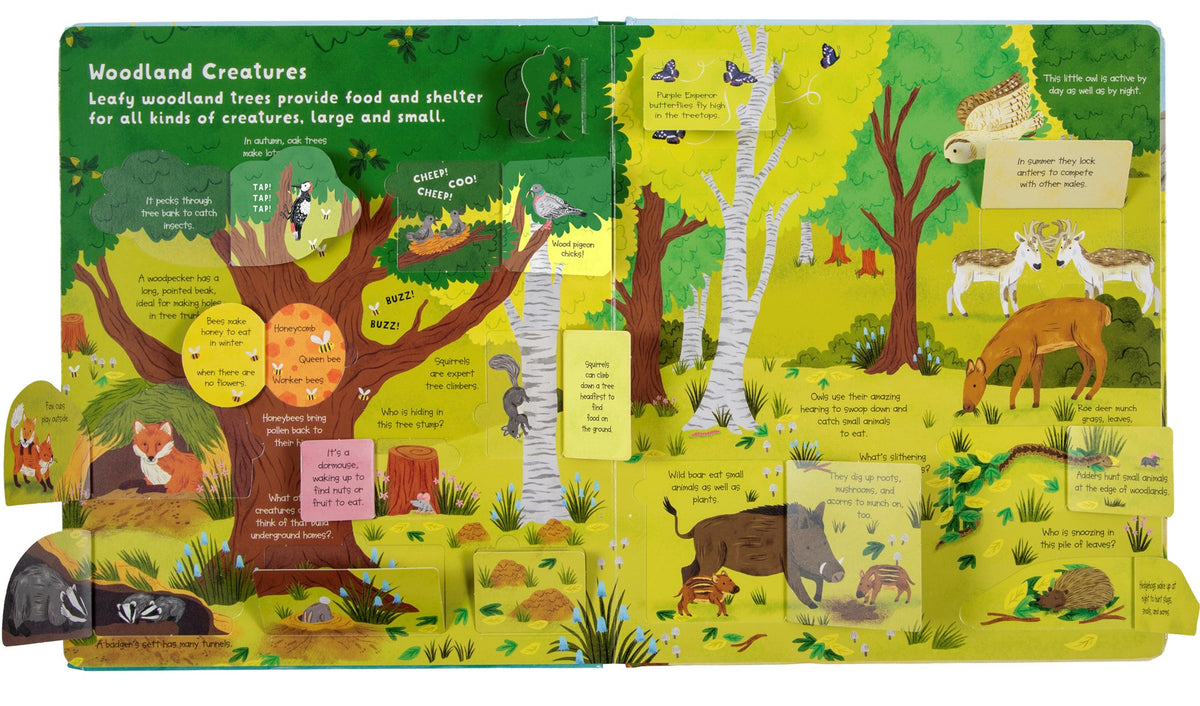 Fox Chapel Publishing Lift the Flap- Discovery! Animals