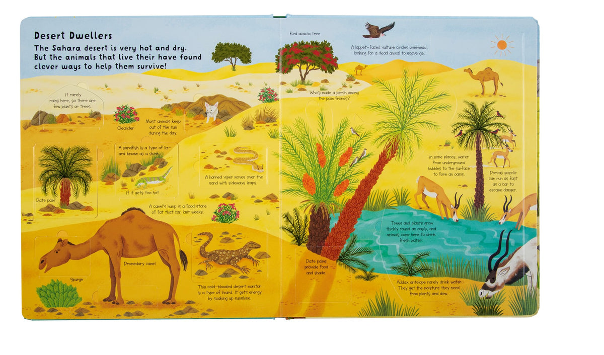 Fox Chapel Publishing Lift the Flap- Discovery! Animals