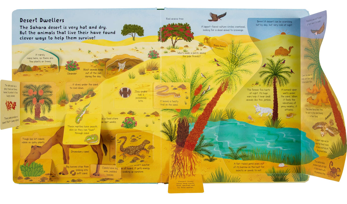 Fox Chapel Publishing Lift the Flap- Discovery! Animals