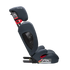 AACE Booster Seat