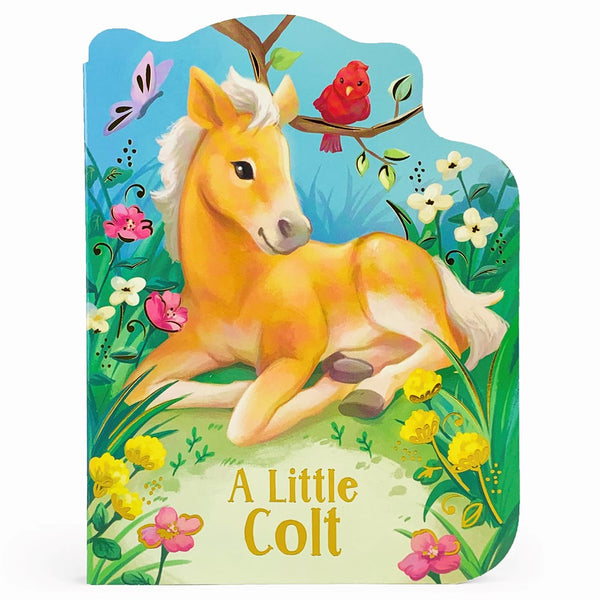 A Little Colt: Animal Shaped Board Book