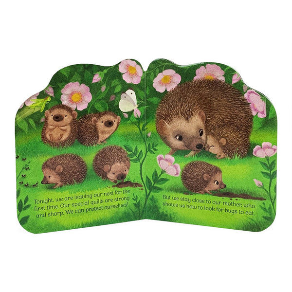 A Little Hedgehog: Animal Shaped Board Book
