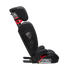 AACE Booster Seat