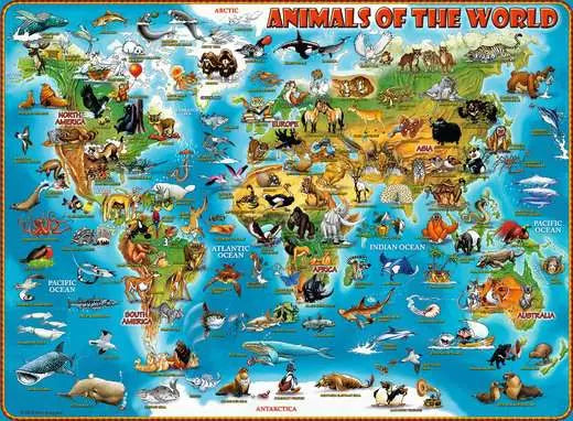 Ravensburger Animals of the World 300PC Puzzle XXL