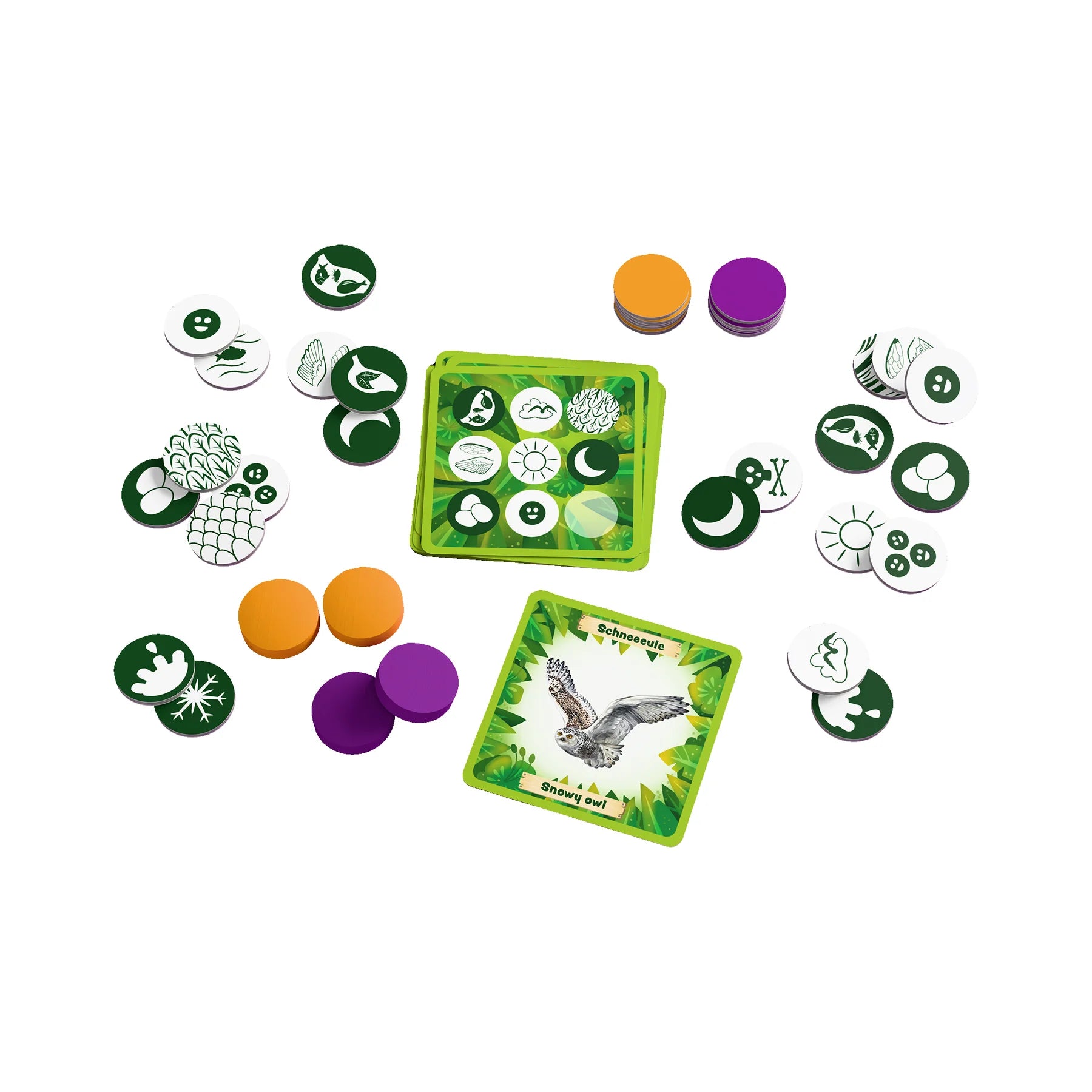 Animals of the World Bingo