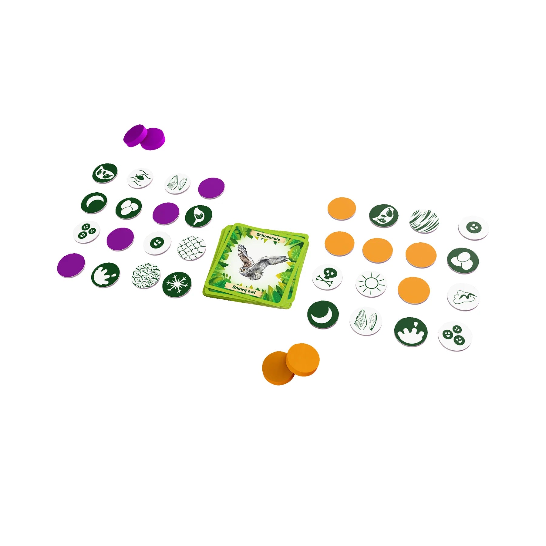 Animals of the World Bingo