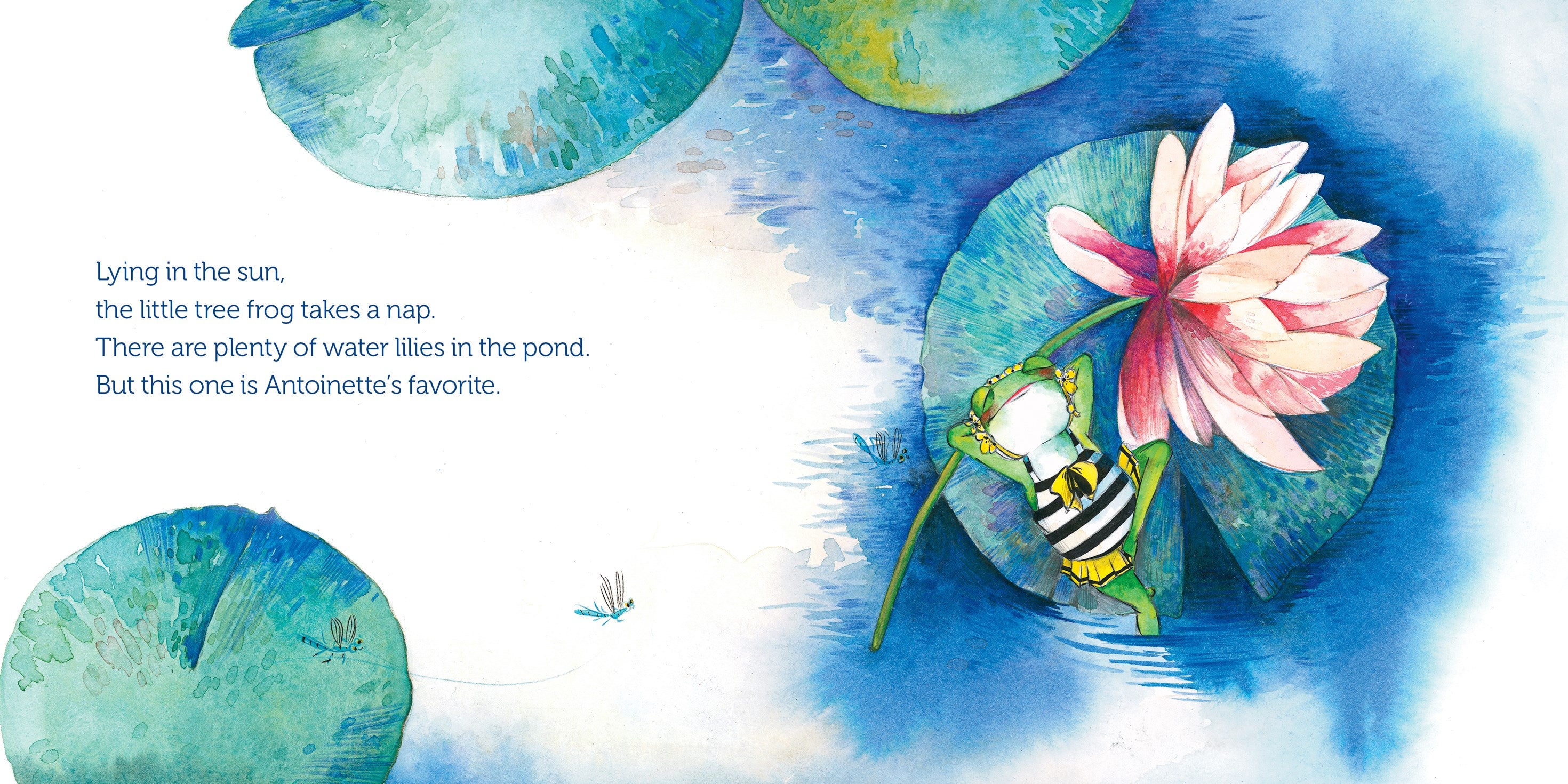 Schiffer Publishing Antoinette the Tree Frog