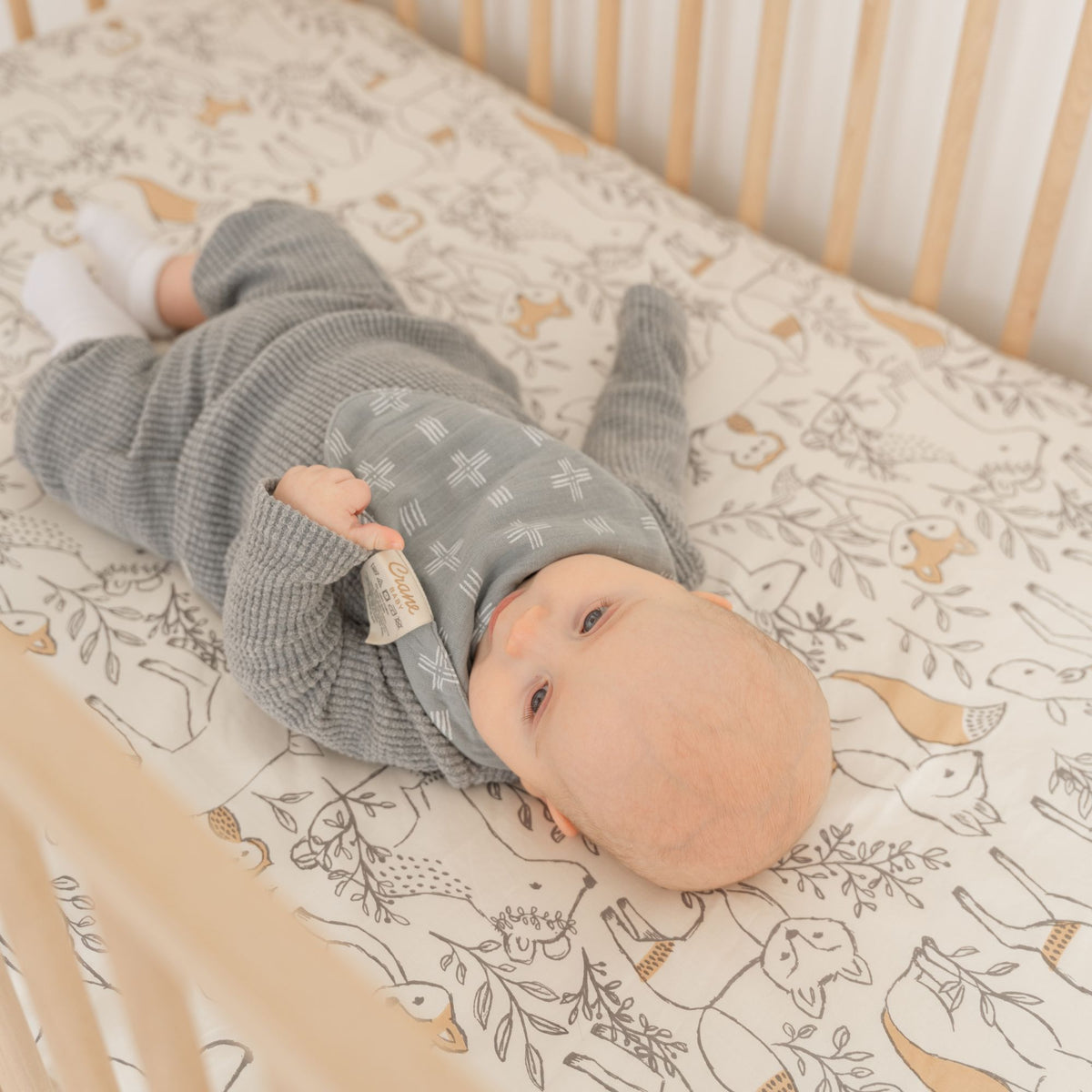 Crane Baby Ezra Woodland Cotton Bandana Baby Bib (3 Pack)