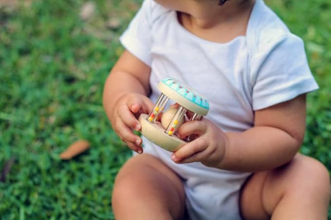 Djeco BabyShaki Infant Rattle
