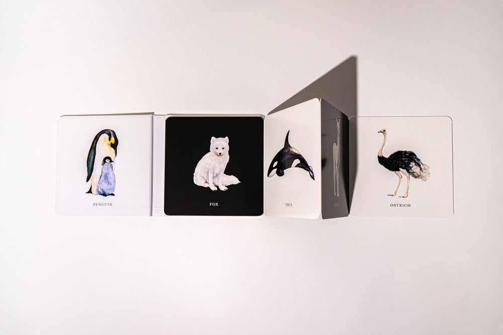 Paige Tate & Co Baby's Black and White Contrast Book