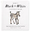 Paige Tate & Co Baby's Black and White Contrast Book