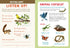 Backpack Explorer: On the Nature Trail