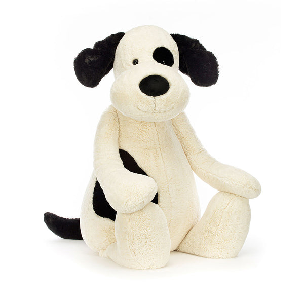 Bashful Black & Cream Puppy