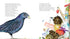 Hachette Book Group Bert, the Bowerbird: The small bird with a big heart