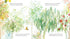 Hachette Book Group Bert, the Bowerbird: The small bird with a big heart