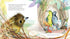Hachette Book Group Bert, the Bowerbird: The small bird with a big heart