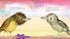 Hachette Book Group Bert, the Bowerbird: The small bird with a big heart
