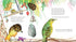 Hachette Book Group Bert, the Bowerbird: The small bird with a big heart