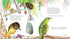 Hachette Book Group Bert, the Bowerbird: The small bird with a big heart