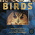 Birds : A Photicular Book