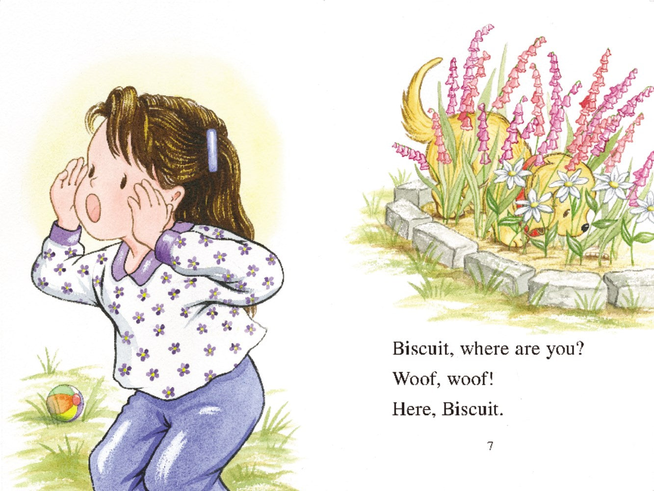 Harper Collins Biscuit Loves the Park