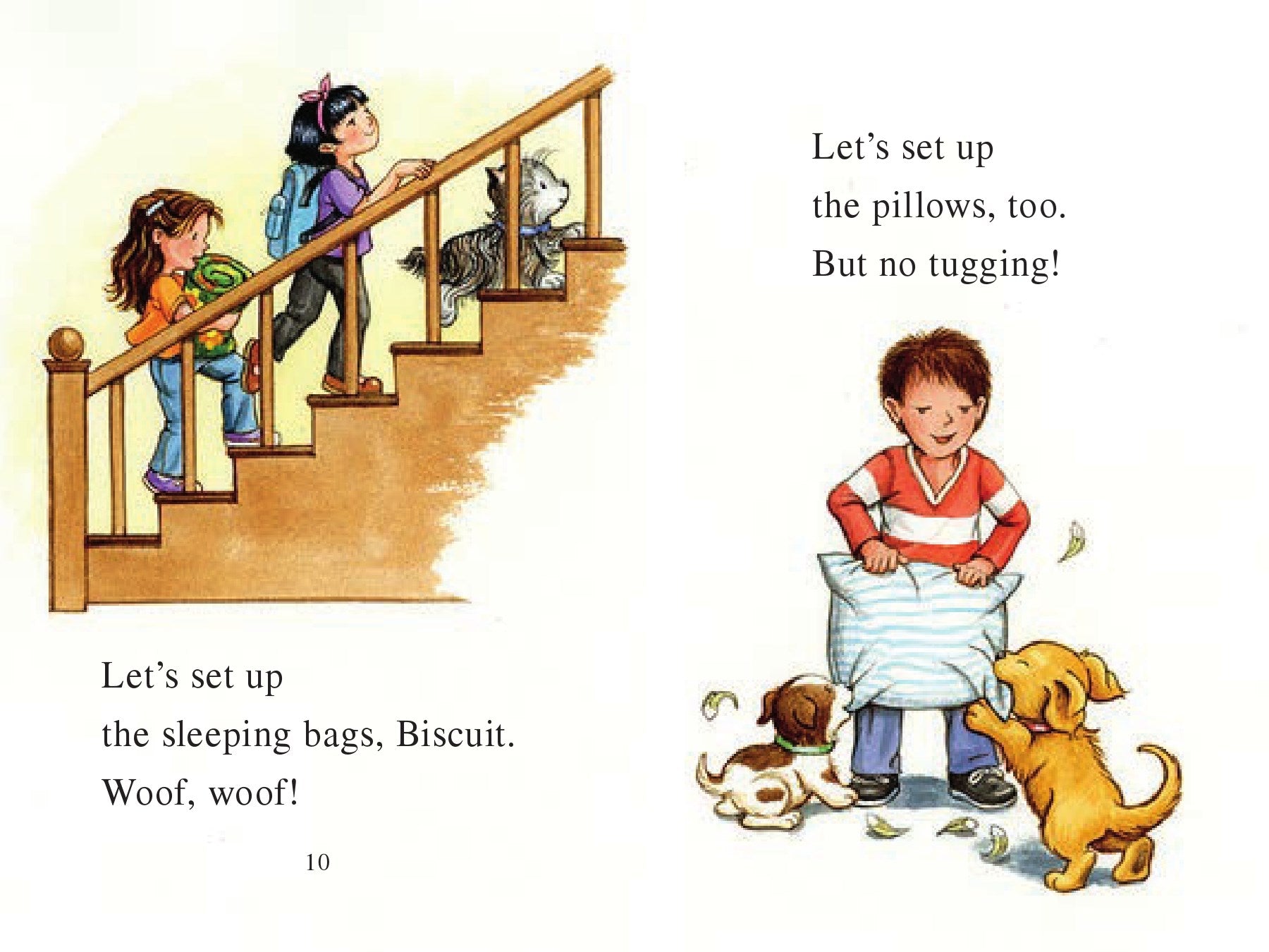 Harper Collins Biscuit's Puppy Sleepover