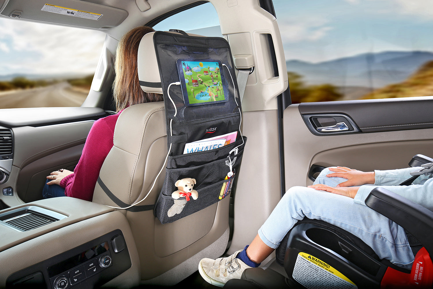 Britax View-N-Go Backseat Organizer