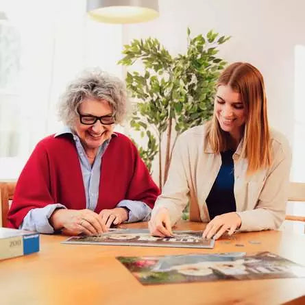 Ravensburger Cats on Shelf 200PC XL Puzzle