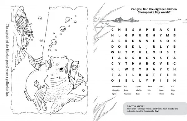 Chadwick Activity Book