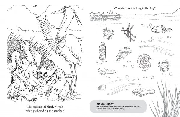 Chadwick Activity Book