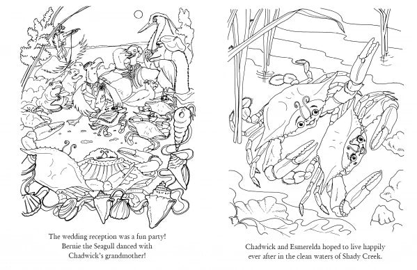 Chadwick Activity Book