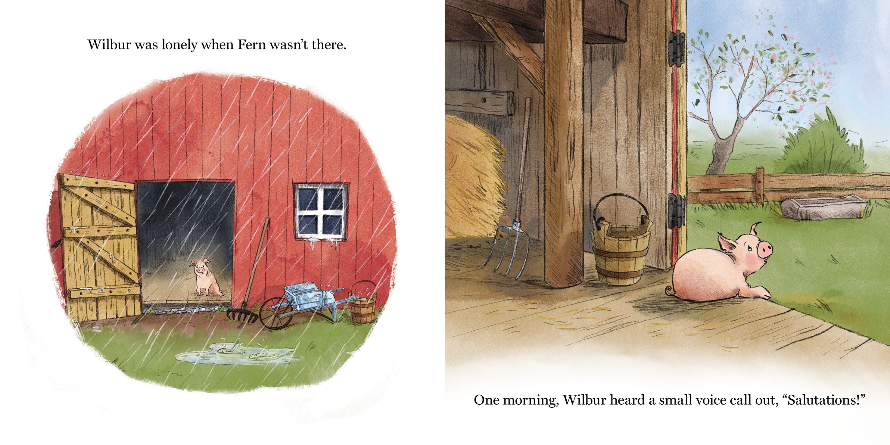 Charlotte's Web Board Book