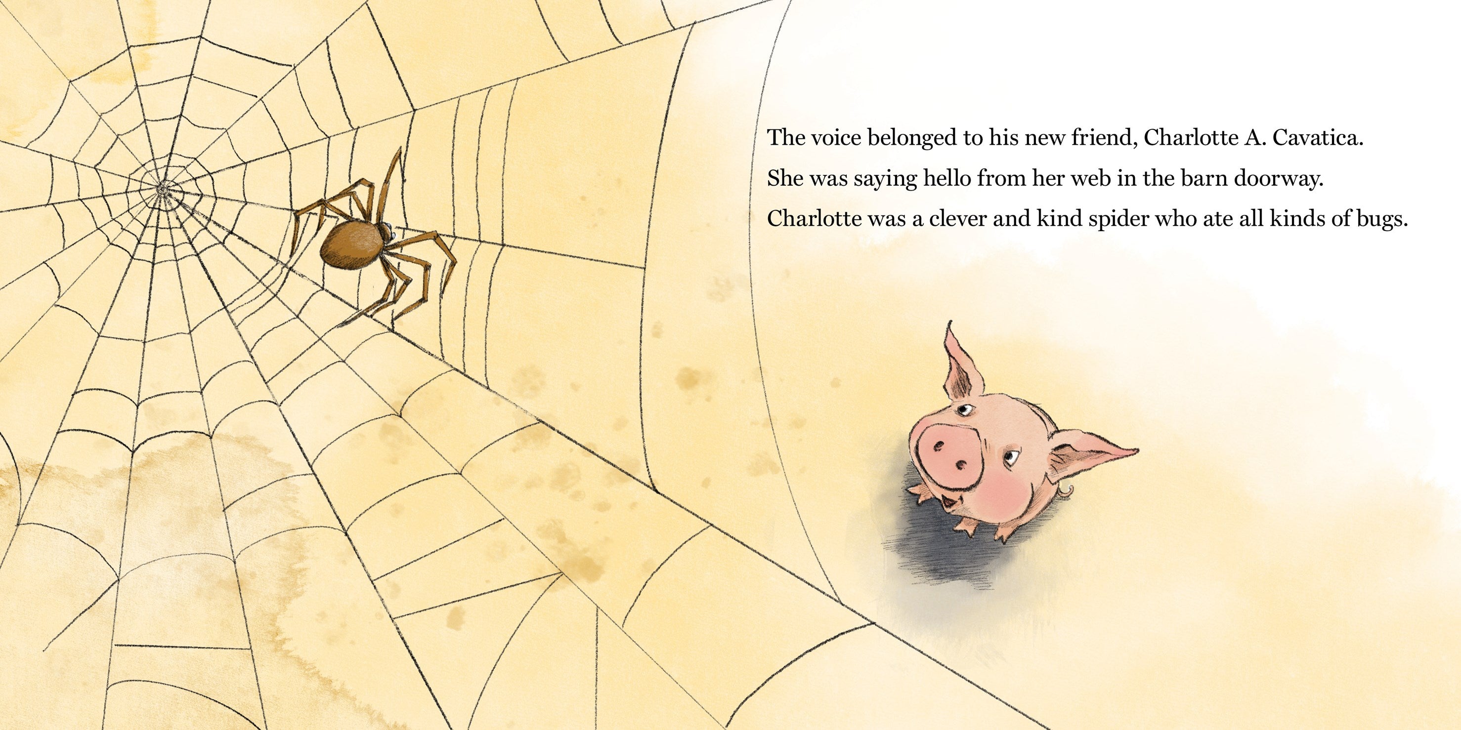 Charlotte's Web Board Book