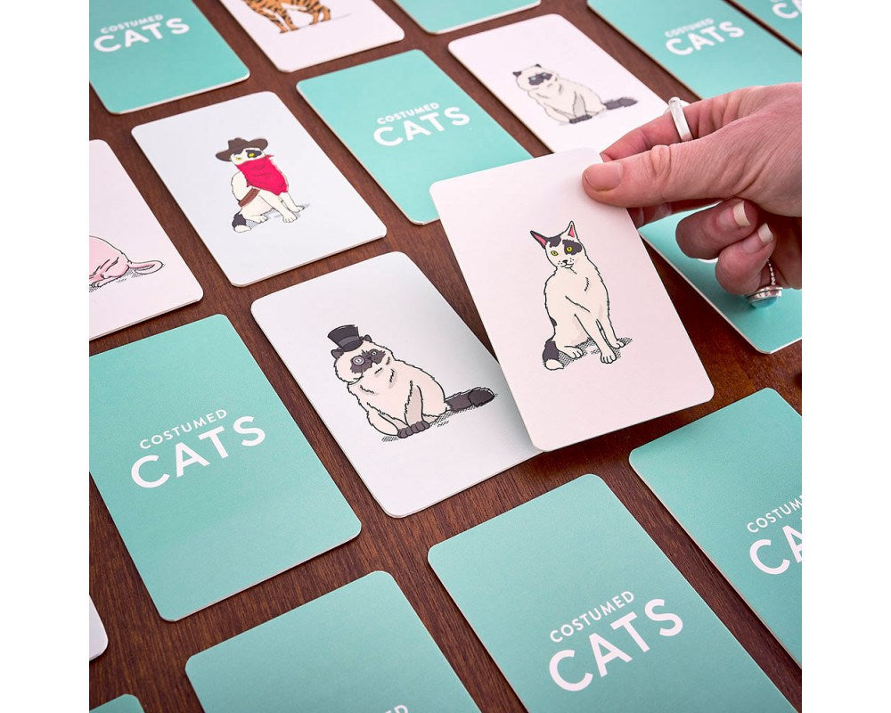 Costume Cats Memory Game