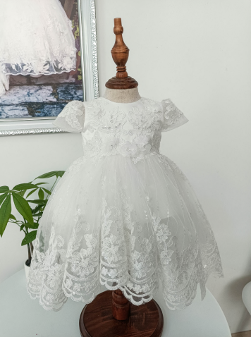 Embroidered with 3D Floral & Lace, Gown SS