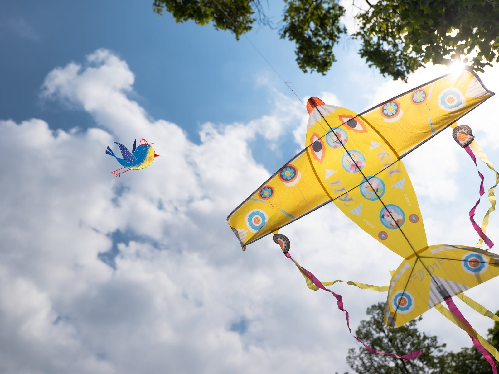 Maxi Plane Giant Kite