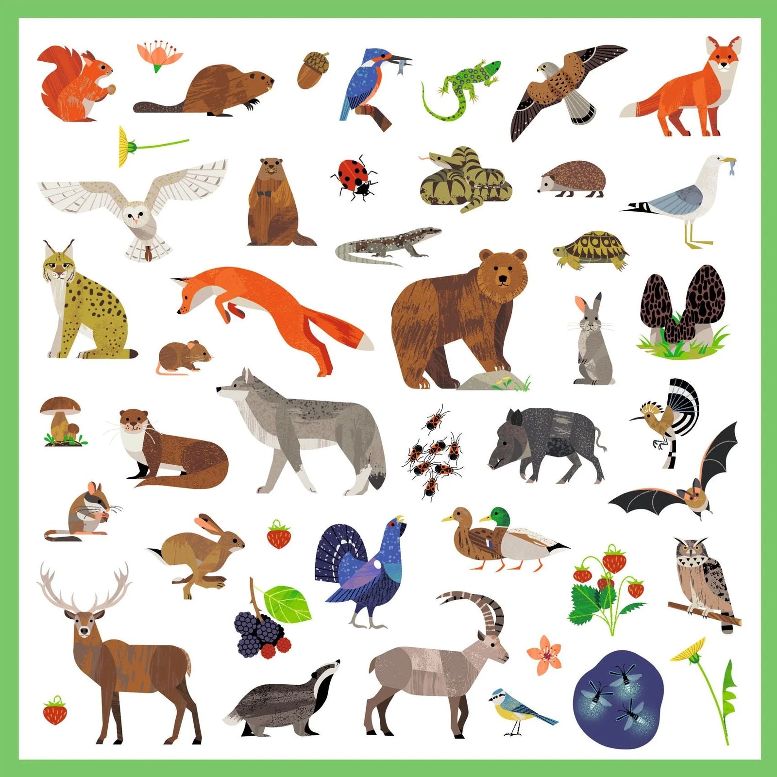 Djeco Stickers - Fauna