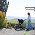 Indie (I-875): All-Terrain Stroller