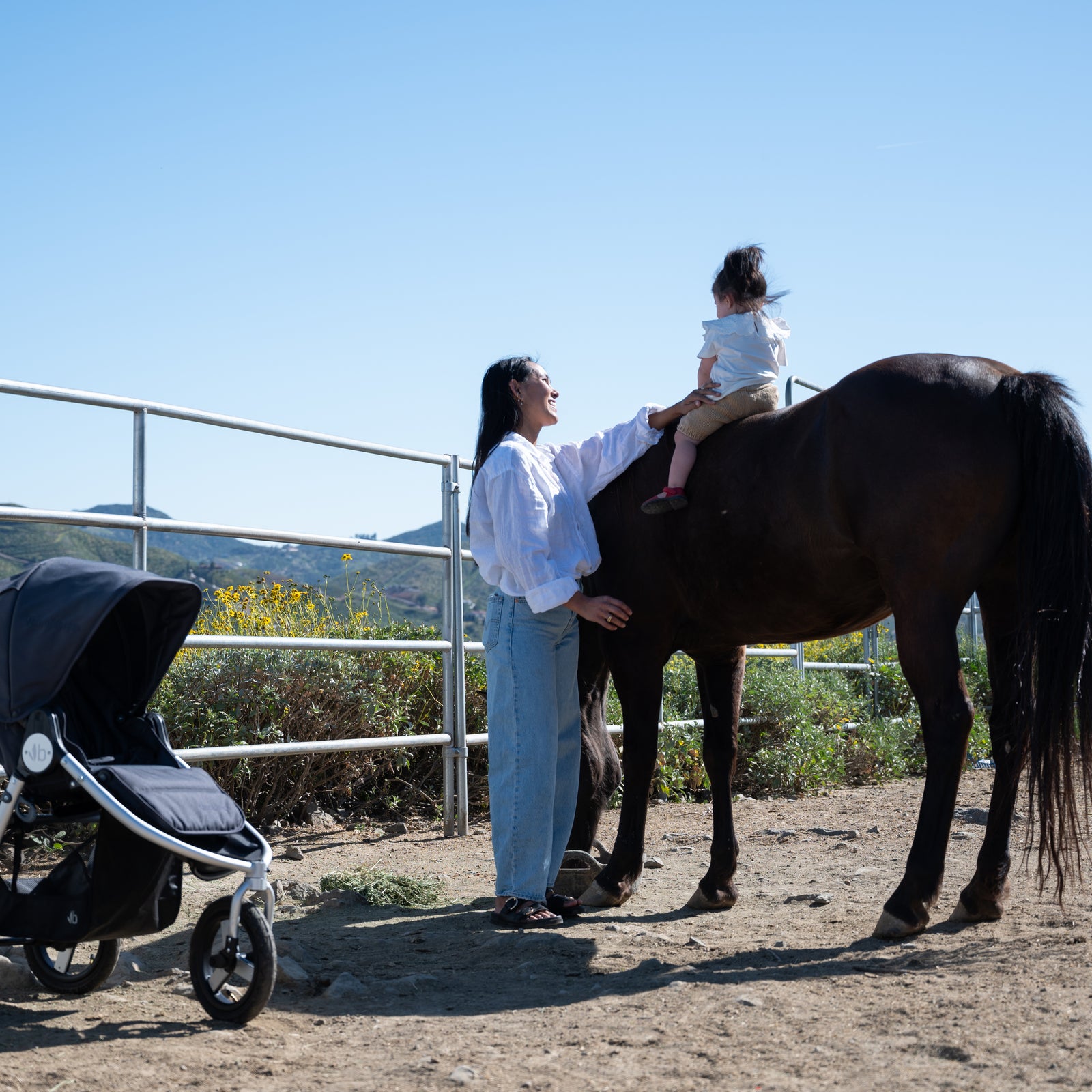 Indie (I-875): All-Terrain Stroller
