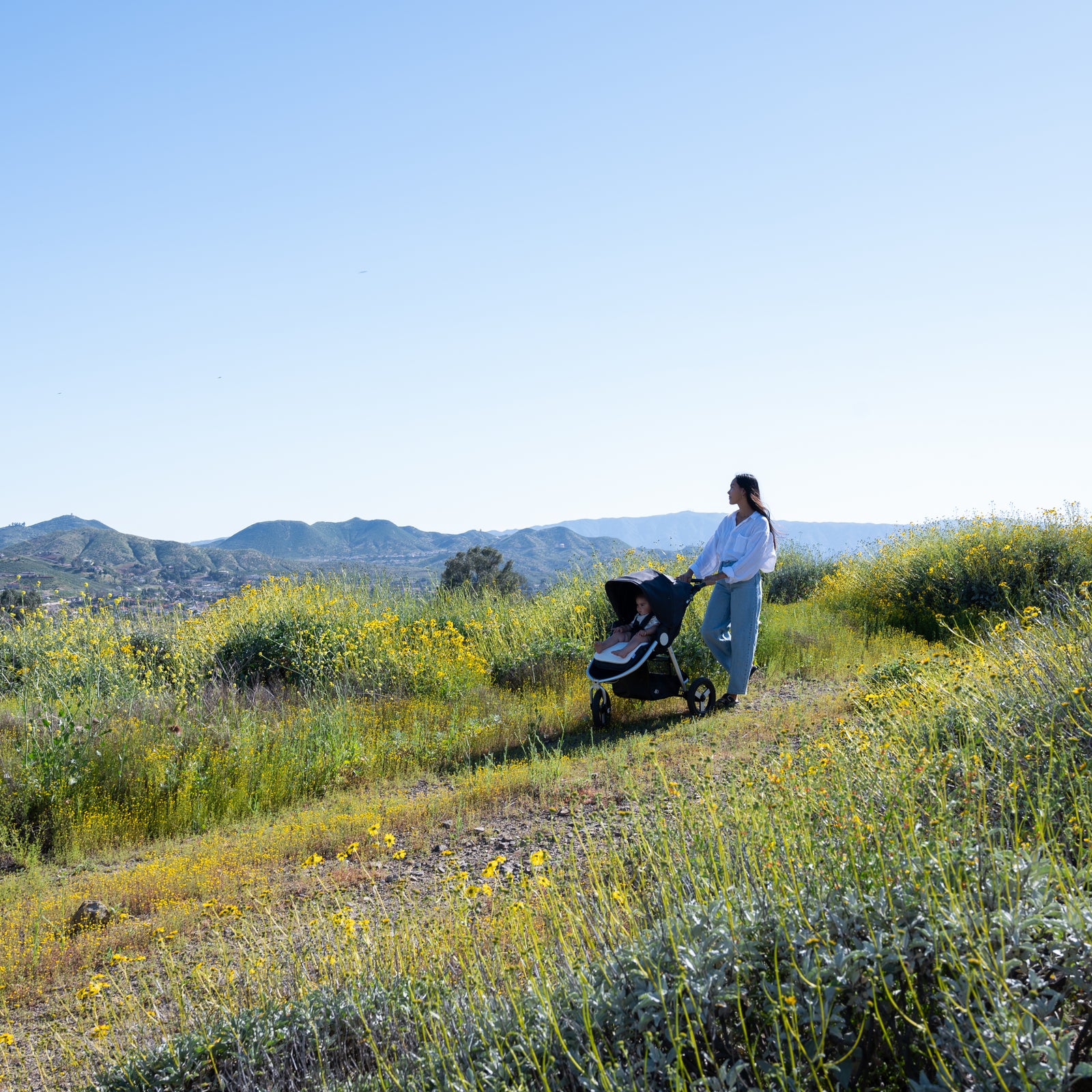 Indie (I-875): All-Terrain Stroller