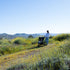 Indie (I-875): All-Terrain Stroller